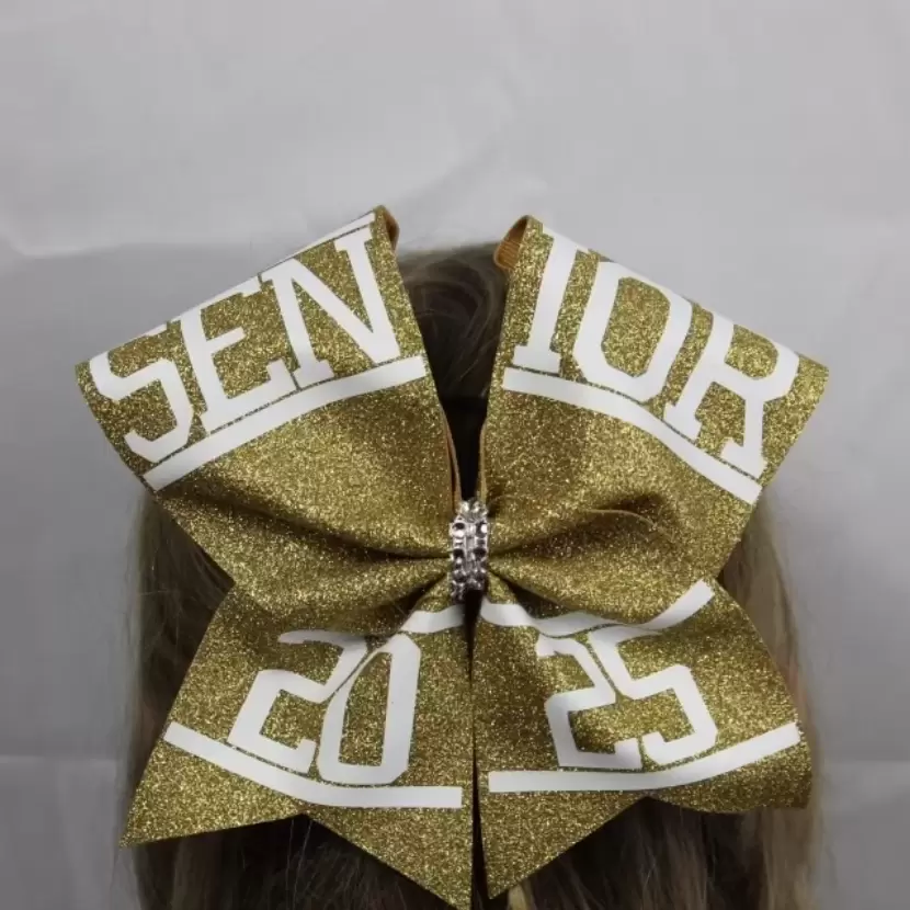 product School Class Cheer Bow display image school-class-cheer-bow-imgjpg0-0