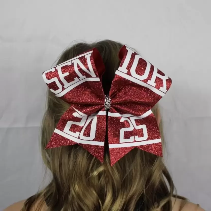 product School Class Cheer Bow display image school-class-cheer-bow-imgjpg100-2