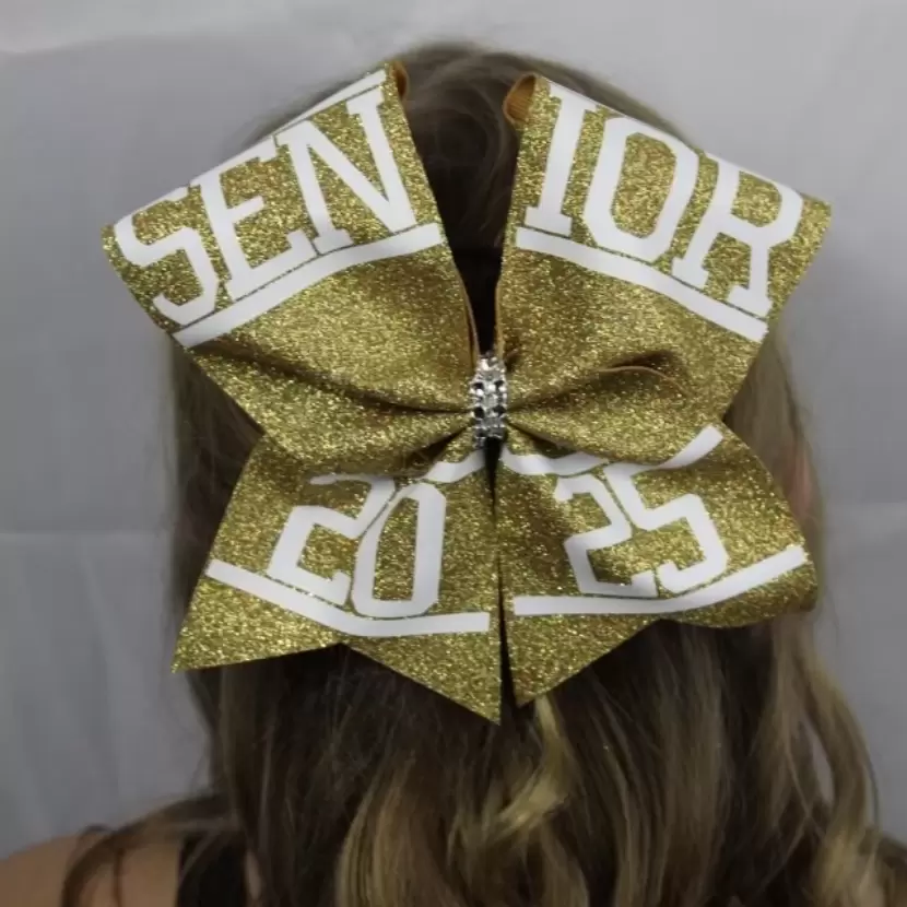 product School Class Cheer Bow display image school-class-cheer-bow-imgjpg9-1
